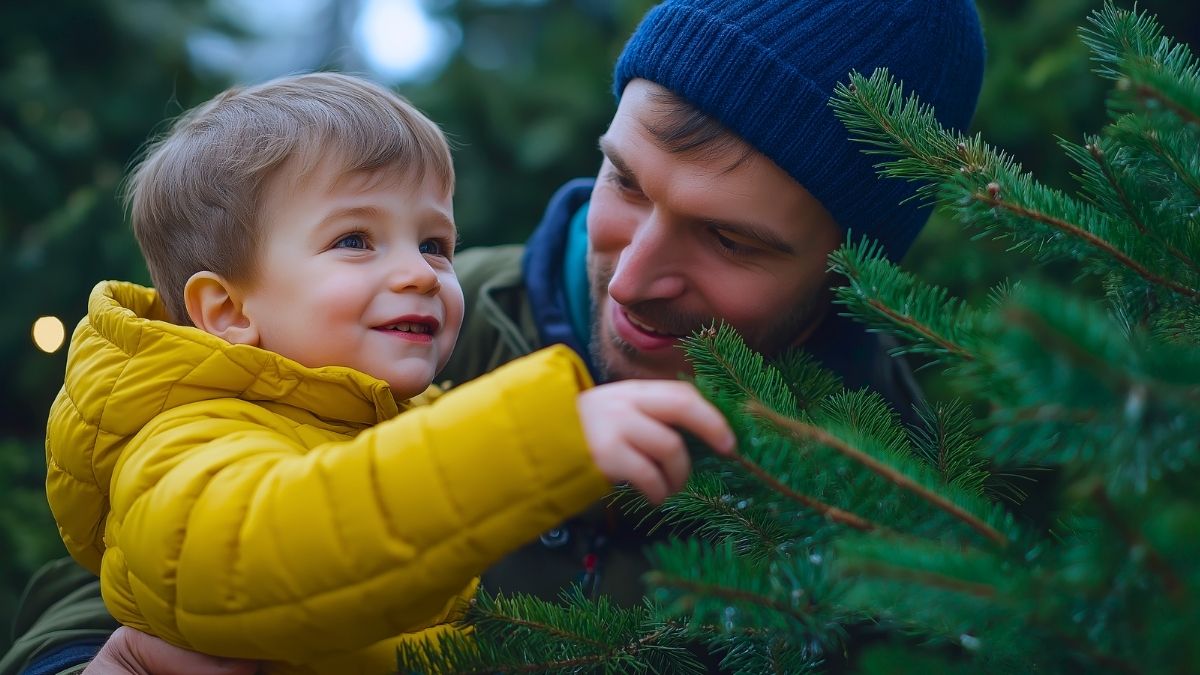 ne jeter pas sapin astuces avec aiguilles