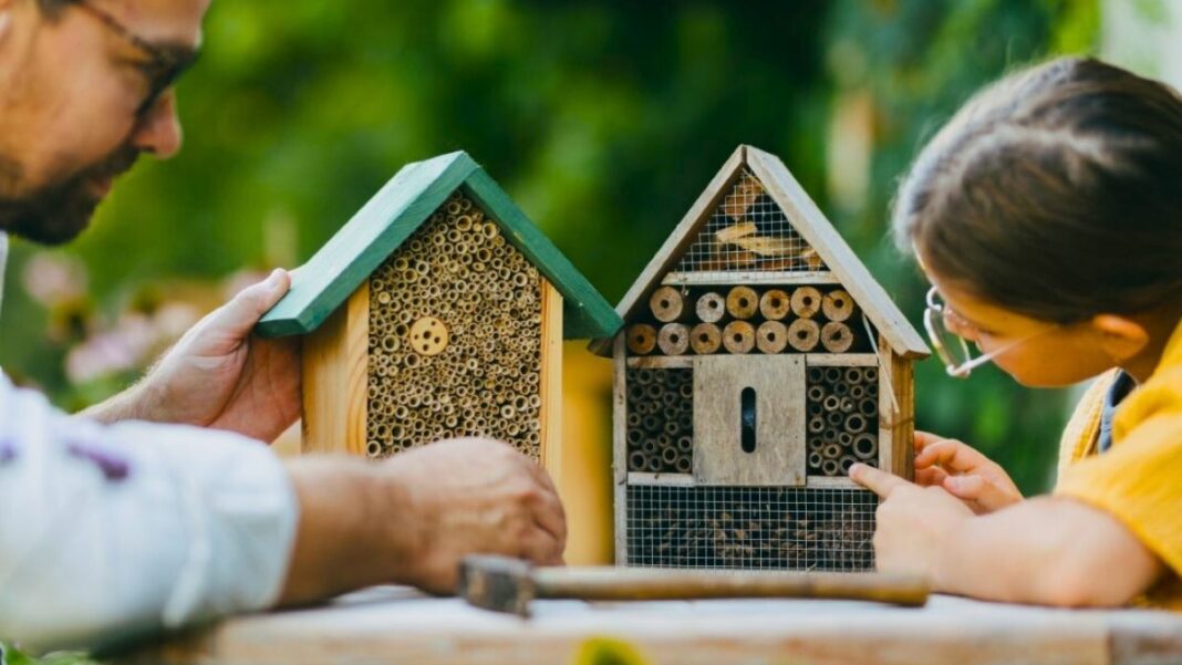 Comment fabriquer un hôtel à insectes