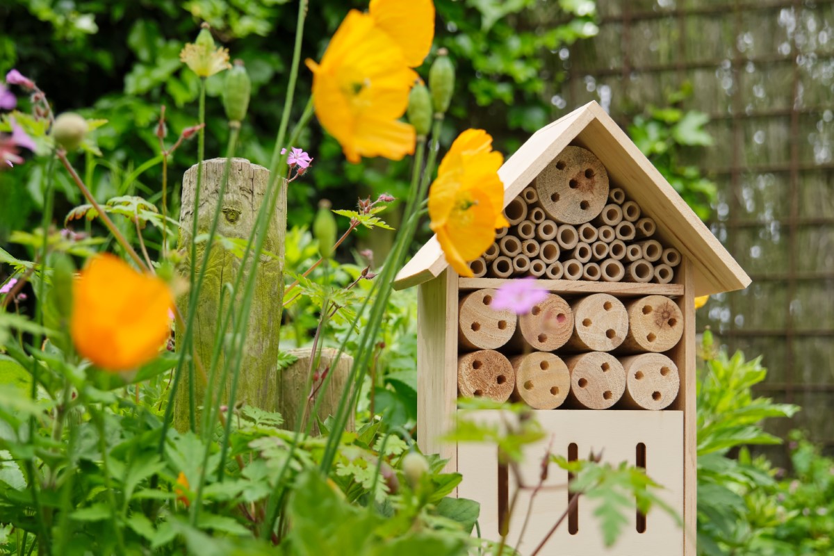 Comment fabriquer un hôtel à insectes