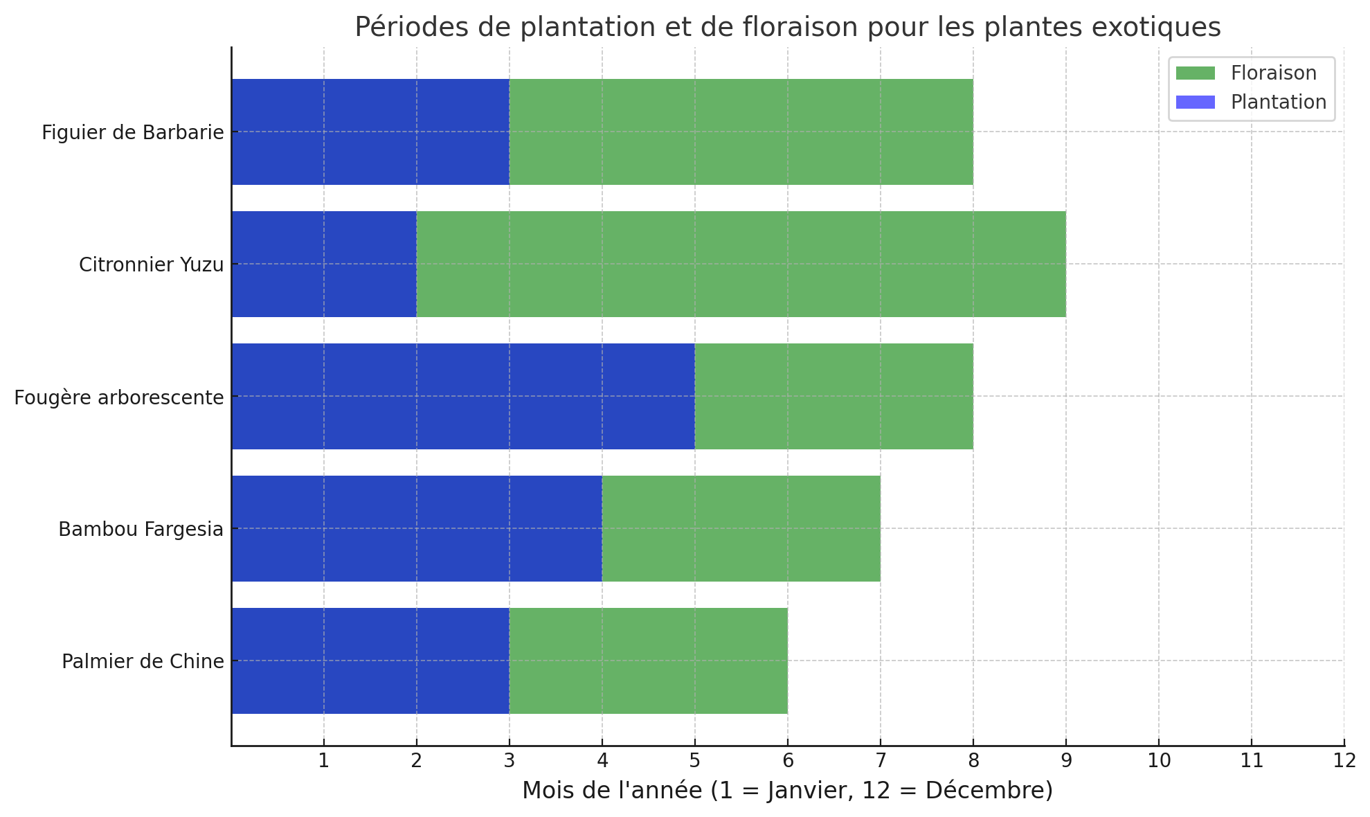 plantes exotiques persistantes à planter hiver